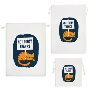 کیسه نظم دهنده گربه (Cat)