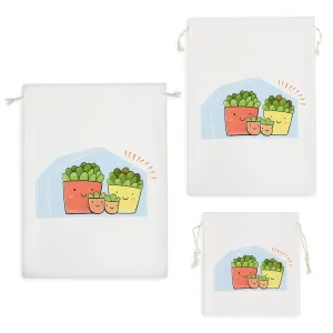 کیسه نظم دهنده کاکتوس