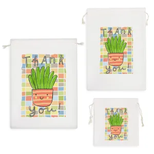 کیسه نظم دهنده کاکتوس