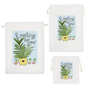 کیسه نظم دهنده کاکتوس