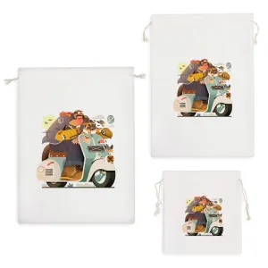 کیسه نظم دهنده جهانگرد