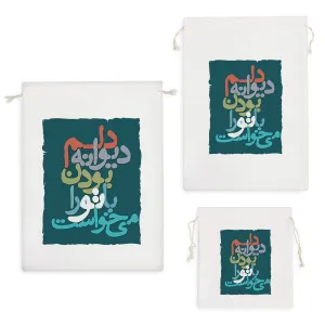 کیسه نظم دهنده دلم دیوانه بودن با تو را میخواست