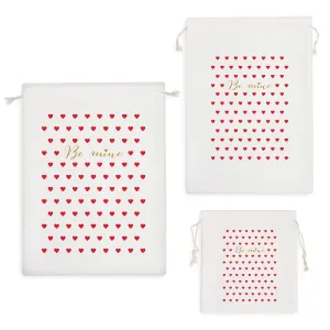 کیسه نظم دهنده قلب