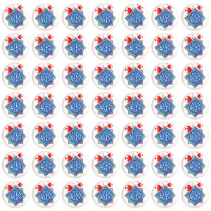 مگنت عید نوروز و سال نو